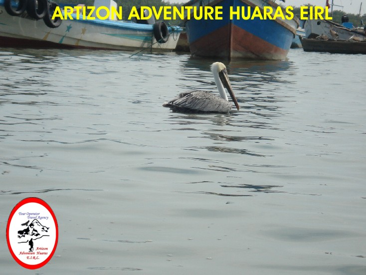 Puerto Pizarro - Tumbes